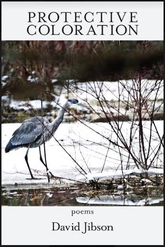 ProtectiveColorationCover