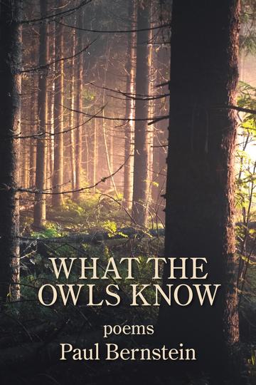 WhatTheOwlsKnow